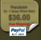 Buy 12 - 1 Gram Silver Bars